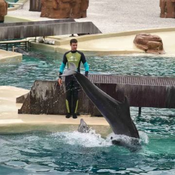 美国奥兰多佛罗里达乐高迷的水上乐园+海洋世界一日游