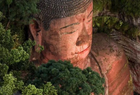 乐山大佛+峨眉山一日游【真纯玩丨专业导游带队】【品质出游】