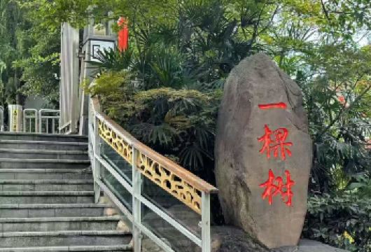 南山一棵树景区自驾一日游【打卡重庆地标建筑，沉浸式感受8D魔幻城市。】