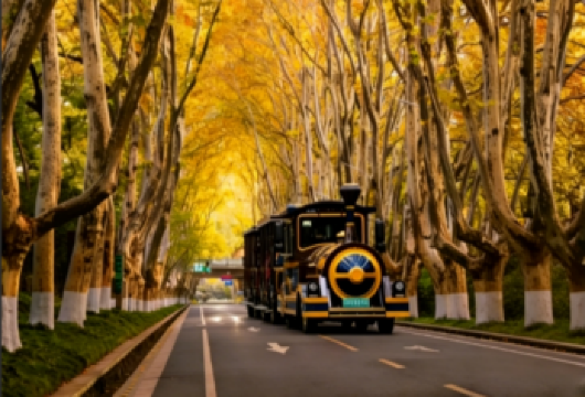 南京钟山风景区｜中山陵+美龄宫+明孝陵+音乐台打卡一日活动【博爱坊前松柏森，钟山之下葬忠魂，蓝瓦白阶凝浩气，警钟长鸣醒国人】