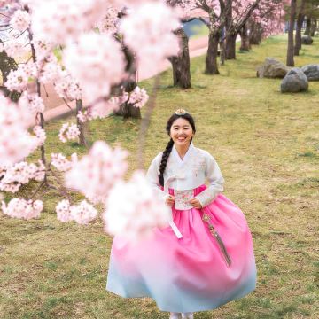 首尔出发｜全州韩屋村 + 显忠祠春日赏花一日游