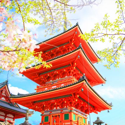 日本京都祗园+奈良一日游，赏樱花喂小鹿，可选9人小团酒店接送