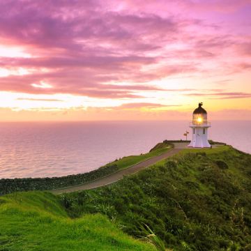 新西兰奥克兰派希亚+岛屿湾+90英里海滩+雷恩加角｜包车定制