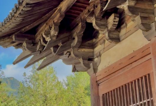 山西佛光寺半日游【佛光寺专业精讲2.5小时含耳麦不含票】【专业讲师2.5小时资深讲解古建，含耳麦，不含景点门票】