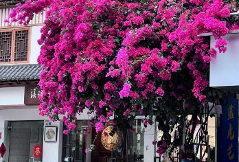 深圳平安大厦+莲花山+甘坑古镇+大芬油画村一日活动-可英文服务【可提供英文及小语种导游服务-往返接送-可选导游-可代订门票】