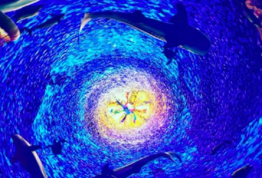 极地海洋公园+摩天轮自由行【品质出游】