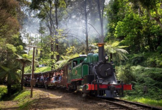 澳大利亚普芬比利蒸汽火车+希尔斯维尔动物园一日游【市区接送】【乘坐普芬比利蒸汽小火车，体验雅拉河谷的迷人风光。】
