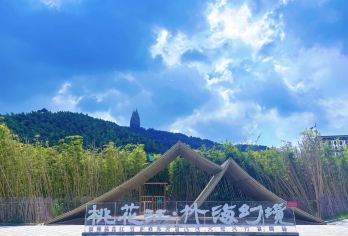 湖南益阳古城+桃花江竹海+明清古巷+会龙公园一日游可英文服务【可提供英文及小语种导游服务-往返接送-可选导游-可代订门票】