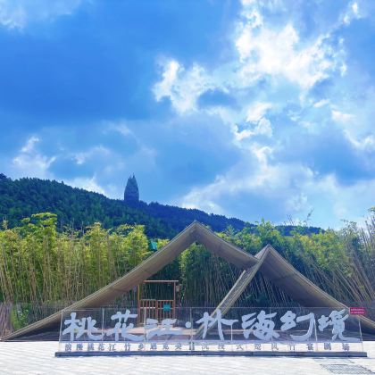 湖南益阳古城+桃花江竹海+明清古巷+会龙公园一日游可英文服务