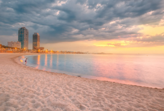 巴塞罗那包车一日游 哥伦布纪念碑+巴塞罗那海滩+诺坎普球场【从旧港到现代建筑群，融合海景、文化与城市革新。】