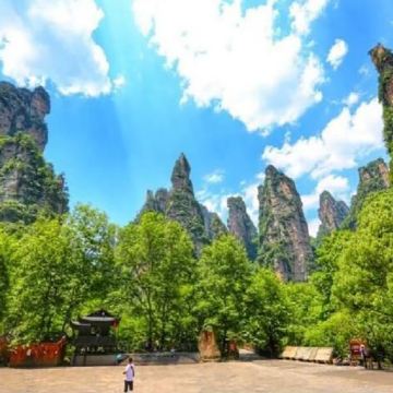 【VIP通道】张家界国家森林公园（阿凡达）一日游 景区优选