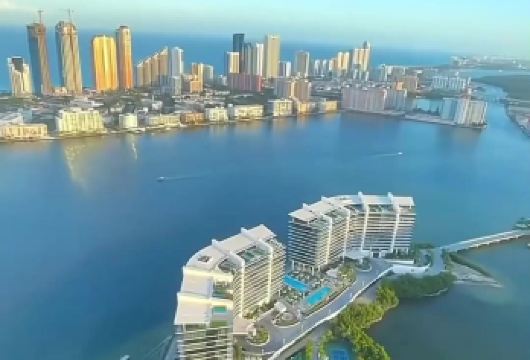 美国+迈阿密小哈瓦那+南海滩一日游/行程可调-可定制【包车一日游，解锁旅行新方式！独立车辆配备经验丰富的老司机，为您量身打造专属行程。】