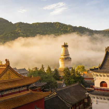 【阳泉起止】登临五台山一日游·祈福赏景悟禅心