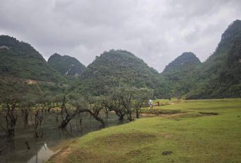 广西德保陇卡赖+矮马王国+吉星岩一日游【全天包车·随走随停】【吉星岩-溶洞奇观】