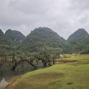 广西德保陇卡赖+矮马王国+吉星岩一日游【全天包车·随走随停】
