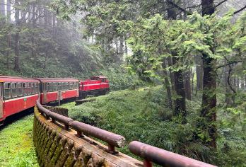 阿里山国家森林游乐区一日游【台中/嘉义/高雄｜私人包车导览】【可以选择从台中、嘉义或高雄出发！立即开启您的阿里山包車一日游，与我们一起踏上充满惊喜与探险的旅程！】