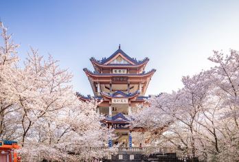 无锡：灵山大佛+拈花湾+鼋头渚 |包车日游【中英俄法德西】#【无锡市区内上门接送】