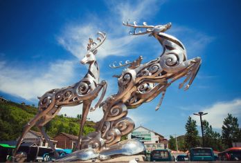 西安:考古影视穿越游-白鹿原影视城-考古博物馆|导游|包车F【全程中文/英文/俄语/各种小语种服洒务，沟通无障碍，景点可调,多种车型可选】