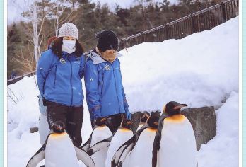 日本旭川札幌-美瑛青池富良野/可小樽登别北海道包车-精选【包车一日游，解锁旅行新方式！独立车辆配备经验丰富的老司机，为您量身打造专属行程。】