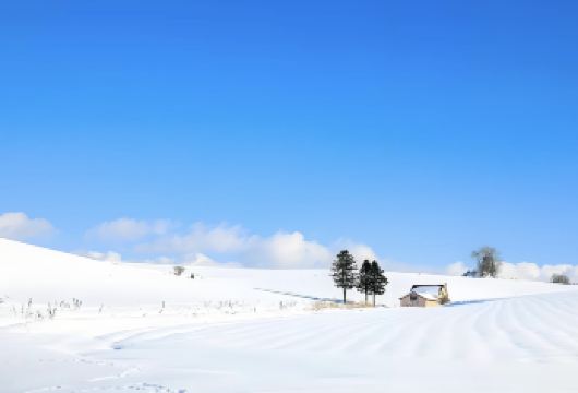 日本小樽神威岬-小樽港码头-小樽音乐盒堂【北海道中文专车】【中文专车出行，景点灵活调整，打卡经典，游玩自己定义，无需等待，专属贴心服务，尽享惬意旅程】