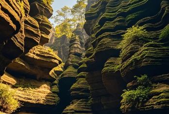 恩施梭布垭一日游【2-12人拼小团】【[品质保障]优选商品，品质拒绝购物】