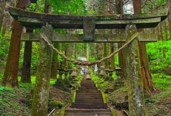 日本九州-福冈往返-别府地狱泉-由布院温泉-汤布院街-精品游【专业行程定制，精选热门景点，高效游玩不走回头路，贴心服务保障，轻松】