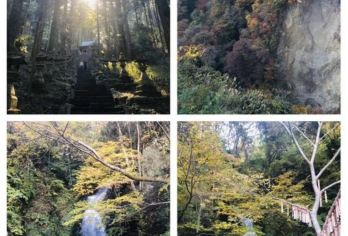 日本九州-熊本往返-别府地狱泉-由布院温泉-汤布院街-精品游【专业行程定制，精选热门景点，高效游玩不走回头路，贴心服务保障，轻松】