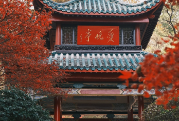 顺心游·【长沙橘子洲+岳麓山+湖南博物院（含车+导+餐）】【特别赠送：[湖南省博物馆无线耳麦服务]】