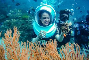 富国岛水下探险：Roi岛水肺潜水和海底漫步【水下探险——在海底漫步或潜水，近距离观赏充满活力的珊瑚礁和热带鱼。 罗伊岛海洋天堂——在安全、有导游的环境中探索清澈的海水和丰富多彩的海洋生物。 海洋世界乐趣——在水下探险之前或之后，享受罗伊岛的海洋公园活动和风景秀丽的海滩。】