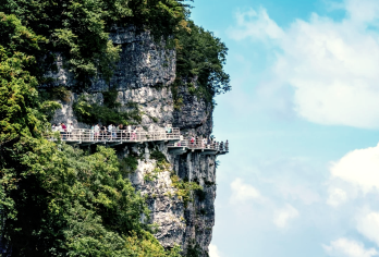 汉中+龙头山景区1日游（含门票+往返观光车+往返索道）【车辆15%空座率，严选安全舒适车辆，优秀当地老司机，熟悉路况，安全驾驶，服务态度好，真诚待客。】