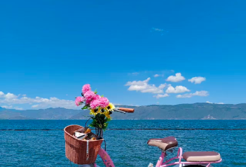 云南丽江+大理+洱海+双廊+理想邦一日游【磻西村.网红s湾】【[上门接+A套餐+爱旅行网红线]纯玩丽江+网红公路S湾+午餐+大理古城+理想邦圣托尼+双廊】