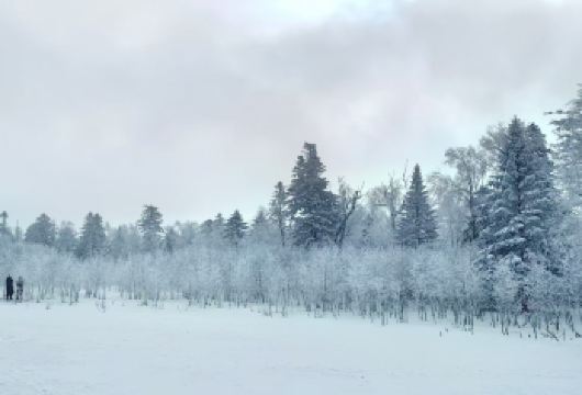 【2-6人小团+上门接送】长白山老里克湖/雪岭一日游【纯玩无购物，没有任何强制消费，性价比超高】