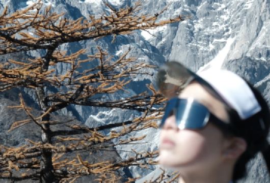 丽江玉龙雪山徒步一日游【徒步玉龙雪山干河坝，望雪峰，七号树，牦牛坪】