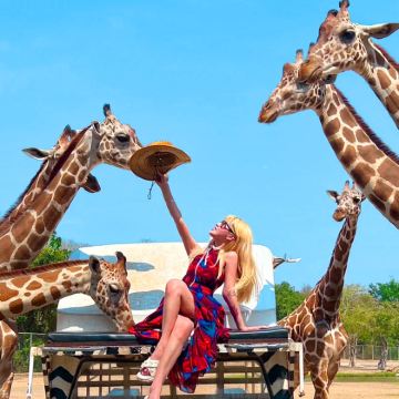 北碧府野生动物园一日游【联系客服代约长颈鹿互动】