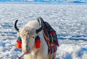 西藏纳木措扎西半岛，可选圣象天门一日游  雅游秘境，自在畅行【纳木措（三大圣湖）官方直通车！7大套餐明分，正规踏实！】