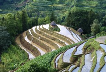 元阳.哈尼梯田+建水小火车/红河+不拼团/中英文导游O【全程中文/英文/小语种服务，沟通无障碍，景点可调】