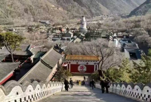 五台山一日游【太原出发包车一日游【魅力五台山，小朝台祈福一日游。】