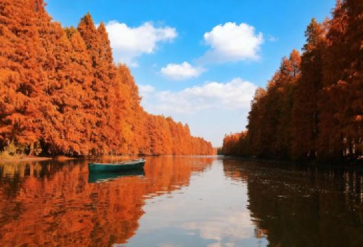 【含三馆联票私家团】广富林文化遗址含文化/古陶/木艺3H讲解【[私家小团]享受私家团待遇，小团服务听得清看得懂】