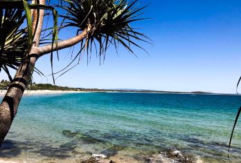 阳光海岸水族馆+阳光海岸+蒙特维尔镇+布里斯班植物园※【海洋探秘×海滨文艺×小镇手作×植物疗愈，一日读懂阳光海岸「自然与人文」的共生诗】