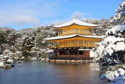 日本京都岚山&伏见稻荷大社&奈良公园一日游丨可升级神户牛餐食【与奈良公园极富灵性的鹿群互动，亲身体验喂食乐趣。】