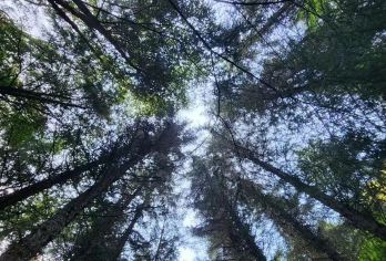 户外休闲&甲尔猛措一日游【无购物&瀑布·森林·小溪】【[品质纯玩]纯玩无购物，保证纯净游玩景点】