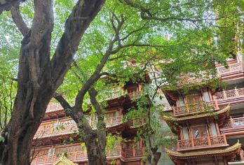 广州陈家祠+沙面+广州塔+珠江夜游半日游【私家团上门接送】【私家旅行：一单一团，不拼客，专属旅行；品质服务：小车上门接送，专职司机护航】