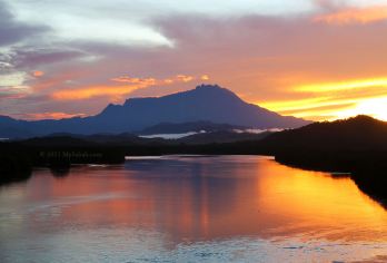 孟河红树林生态船游含午餐一日畅玩【体验出发孟河红树林，这是靠近城市的红树林，还提供便捷的酒店接送服务。】