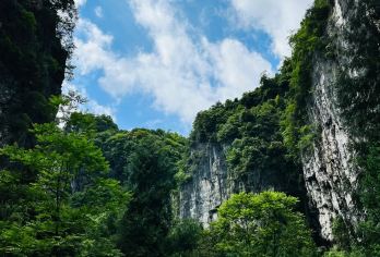 【VIP2-8人团】重庆武隆天生三桥+仙女山+乌江画廊一日游【[轻奢出行]自由定制、娱乐体验式当地自驾旅行。】