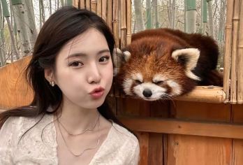 都江堰+熊猫谷+蓝眼泪【纯玩一日游】【2--8人亲子私家团】【[熊猫室外放养区，可0距离观看、与大熊猫拍照][可预约熊猫义工][亲子活动、研学活动宝地]】