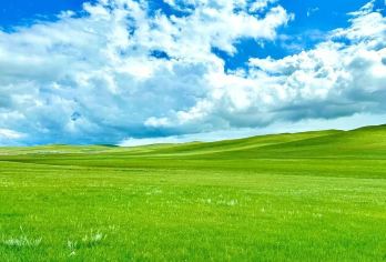 海拉尔+巴尔虎+呼伦湖+海拉尔【一单一团 保证不拼团】