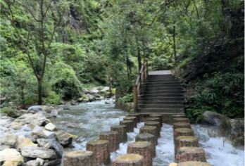 重庆金佛山+黑山谷风景区+神龙瀑+解放碑一日游-可英文服务【可提供英文及小语种导游服务-往返接送-可选导游-可代订门票】