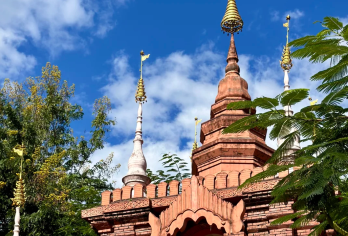 西双版纳勐泐大佛寺+般若寺+野生动物园+泼水广场一日游【中文包车，定制服务，安心自由】
