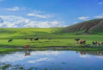 达尔宗湖+桑科草原+拉卜楞寺一日游【包车游】【1，达人带队，精选线路，深度体验，创新玩法，贴心管家，摄影帮手，路上美景随走随停！】