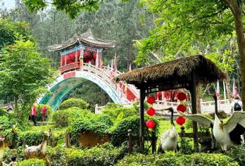 海口精品纯玩一日跟团游+火山口+电影公社+骑楼老街+午餐【[精华景点]火山口+电影公社-南洋街+海瑞文化园-海瑞展览馆+文笔峰盘古文化】